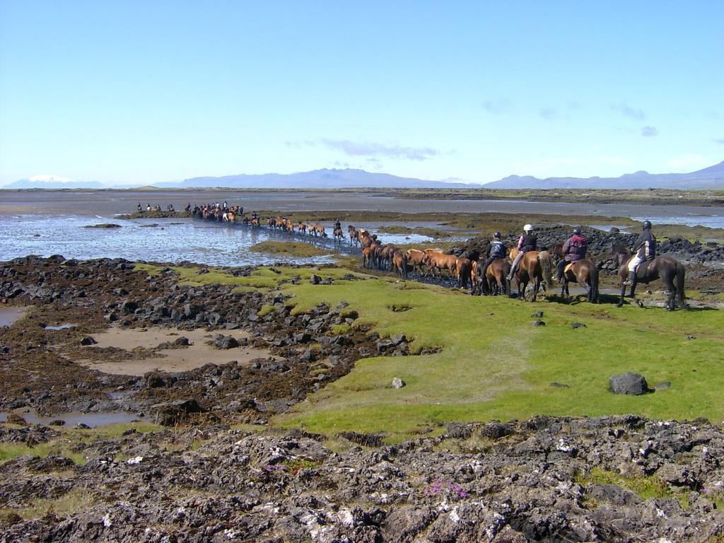 Snorrastadir Farm Holidays Borgarnes Exterior foto